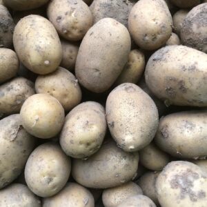 業務用　じゃがいも　１㎏