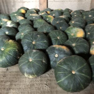 業務用　かぼちゃ　１㎏