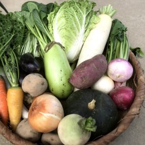お野菜BOX1500【農場受取限定】