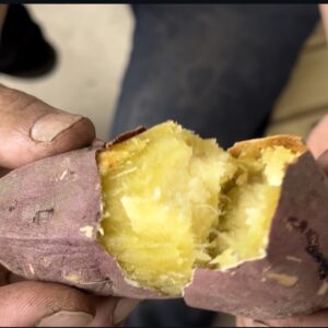 冷凍焼き芋【300～400ｇ】