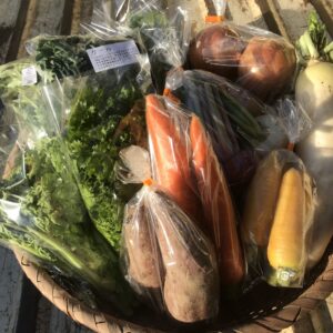 お野菜BOX1900【オンライン限定】