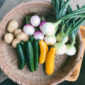 追加：良く出来すぎたお野菜１点