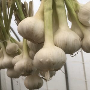 追加：にんにく